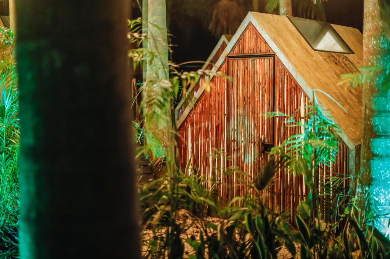Bufo Alvarius Sanctuary Bacalar Buenavista  Exterior photo