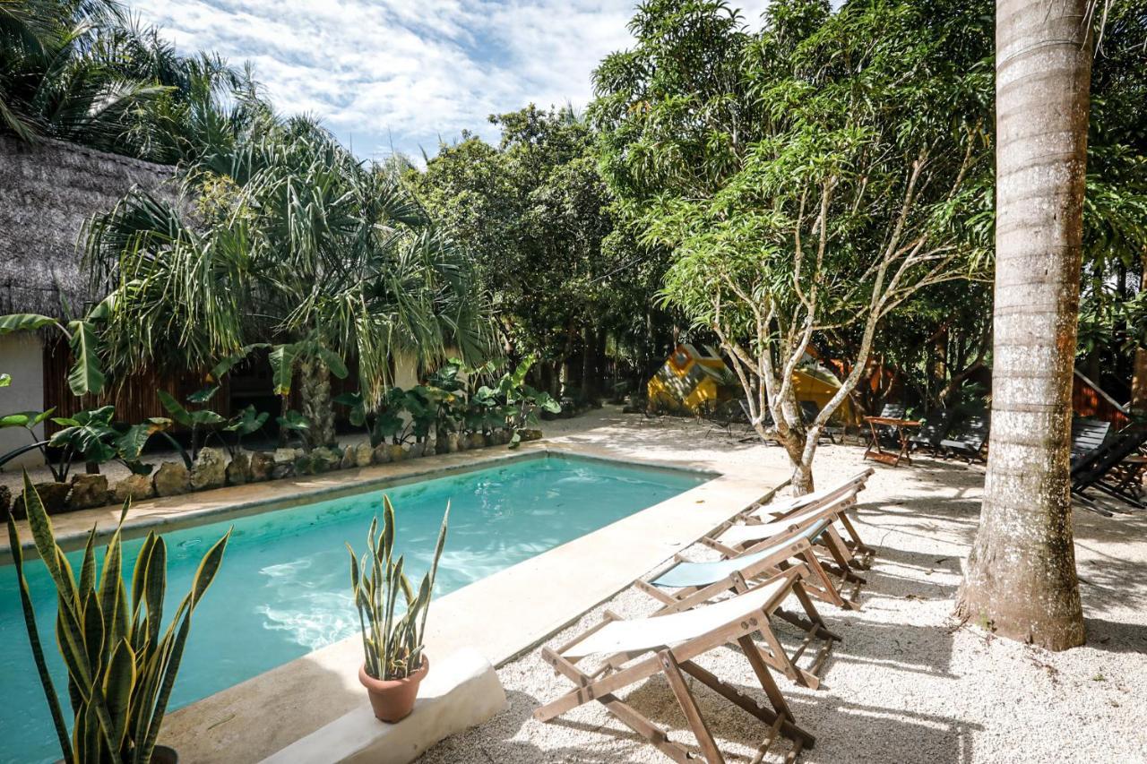 Bufo Alvarius Sanctuary Bacalar Buenavista  Exterior photo