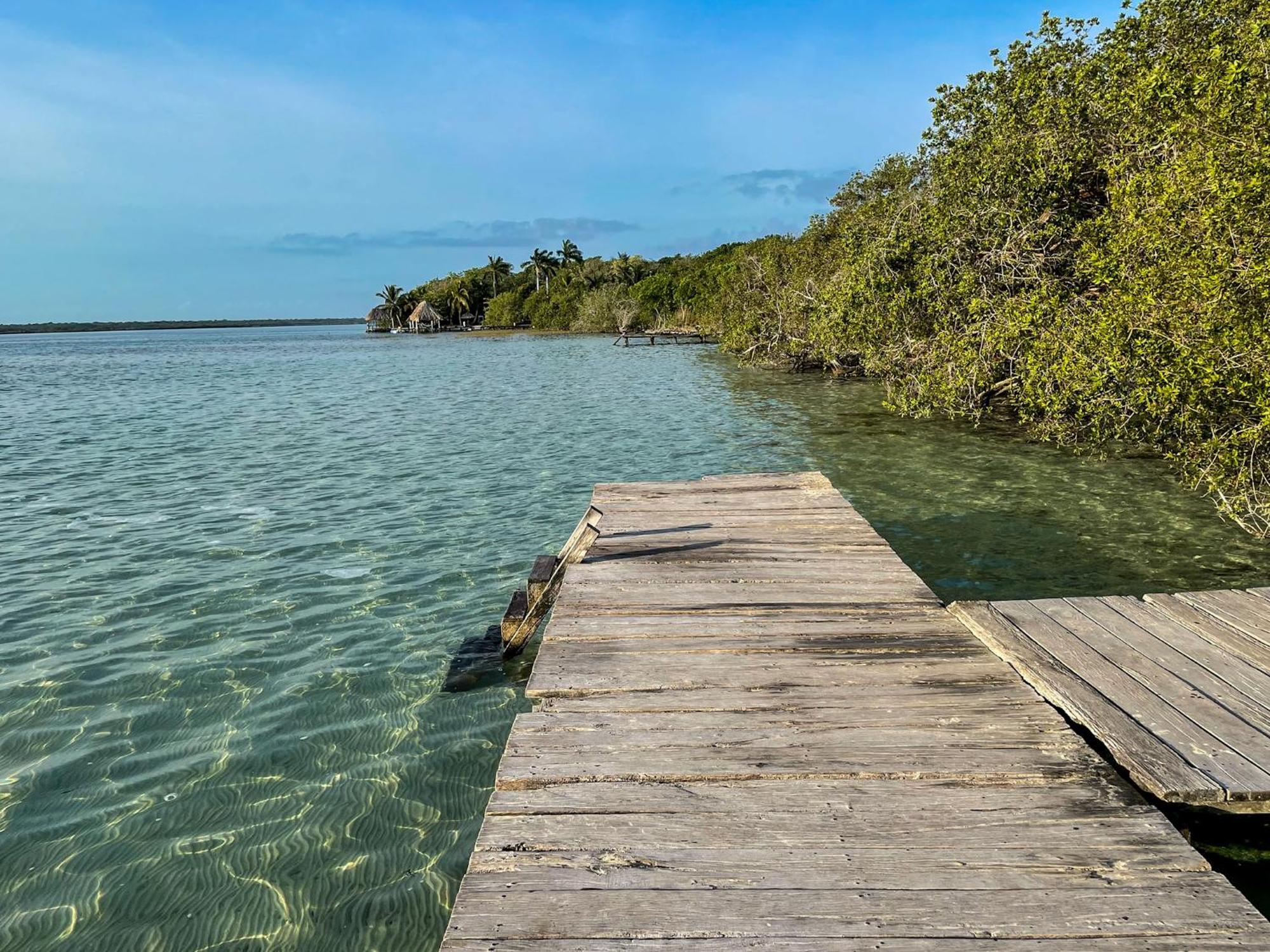 Bufo Alvarius Sanctuary Bacalar Buenavista  Exterior photo