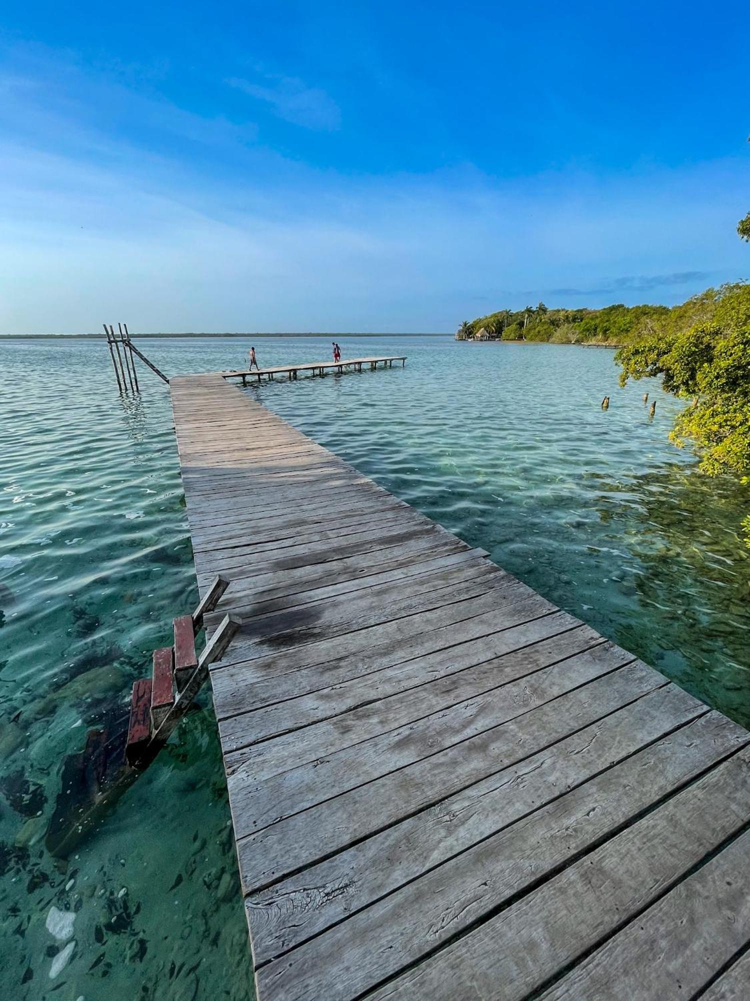 Bufo Alvarius Sanctuary Bacalar Buenavista  Exterior photo