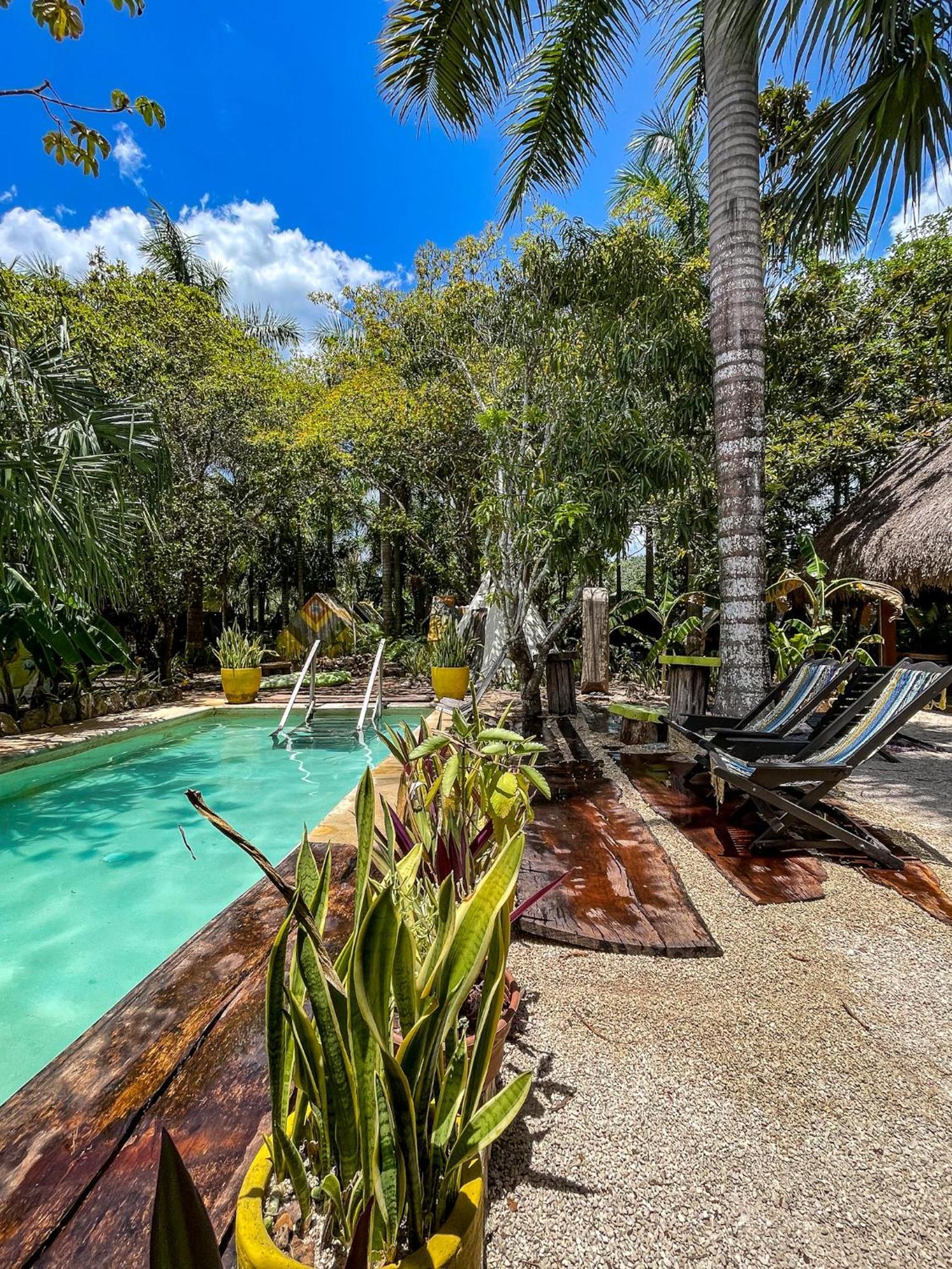 Bufo Alvarius Sanctuary Bacalar Buenavista  Exterior photo
